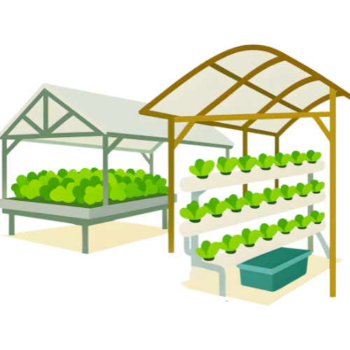 Agroself Hydroponic