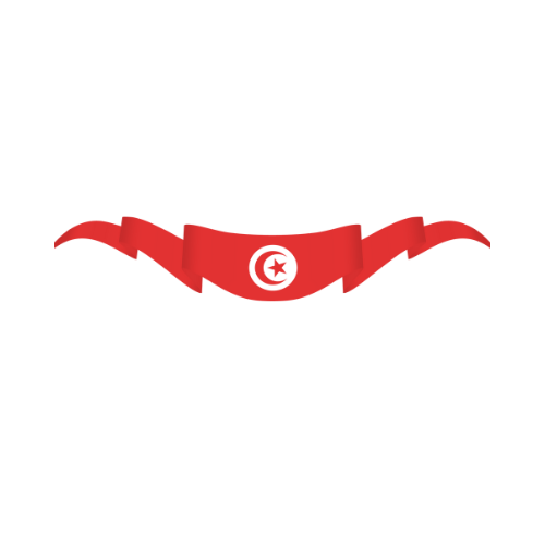 tunisia flag